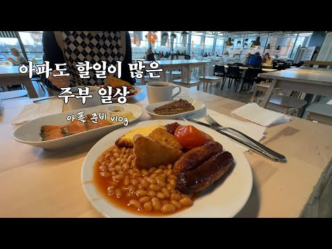 [아프기전 주부일상]주부는 아파도 할일이 많다. IKEA(천원대부터 이만원대 추천 아이템)다녀오고 1~2달 파종하는 씨앗 뿌리기. 겨울 간식 호떡에 집안일 하고 살림정리 했던 일상