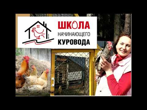 Сколько гнезд надо курам? Чертеж курятника с размерами на 10 кур. Тесный курятник причина болезней.