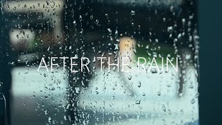 After The Rain (Short Film) (HD)