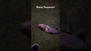 #спінінг #carpfishing #результат #товстолоб