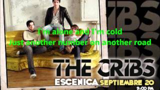 The Cribs - Another Number with Lyrics