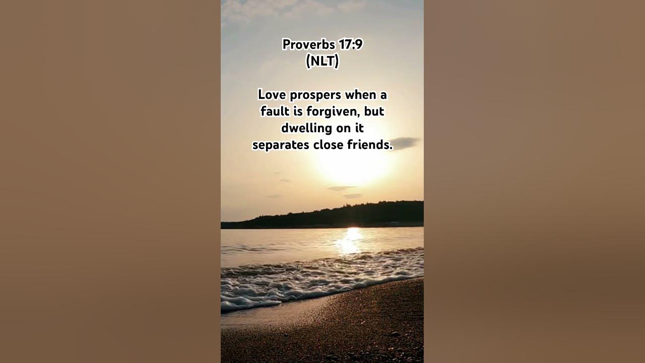 words-of-wisdom-proverbs-17-9-nlt-youtube