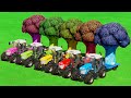 LOAD &amp; TRANSPORT BROCCOLI WITH MINI RIGITRAC TRACTORS - Farming Simulator 22