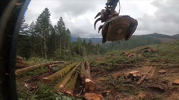 Tigercat LX830E Cutting Big White Fir Up Pistol River | Gopro Hero 8