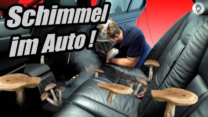 Auto Schimmel Entferner Auto Innensitz Boden Dach Schimmelentfernung  Reinigung und Wartung Spray