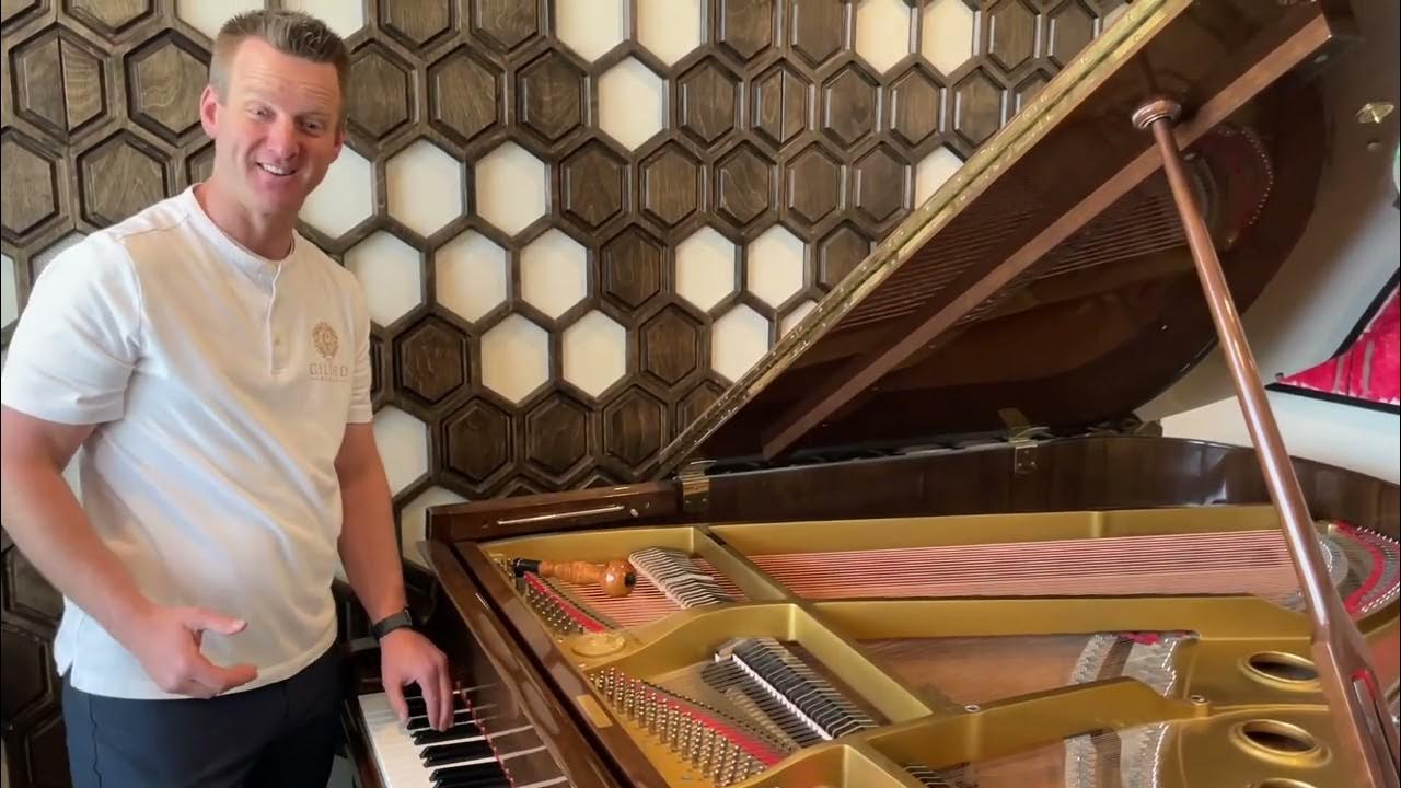 Rattling bass strings on a grand piano YouTube