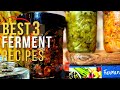 3 simpliest ways to start fermenting recipes youll love promise