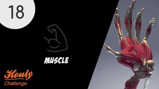 HOULY Challenge - Day 18: Muscle (31 Days of VFX)