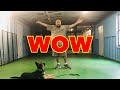 WOW! Incredible Dog Training Secret! WOW! Incredible Dog Training Secret!