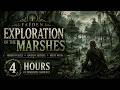 Faëden Marshlands Exploration 🌿 4 Hours of Swamp Ambience for RPG, DnD