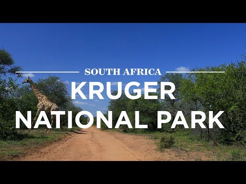 Kruger National Park, South Africa | Safari365