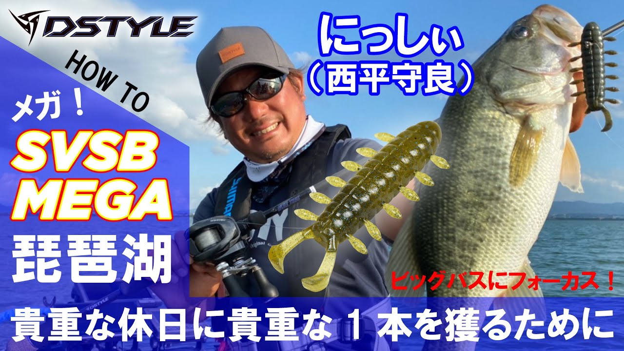 ウィノータ、仲間の力 IKO 拡張アート フォイル PSA10 WX25-P1