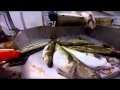 Pesca do Bacalhau Islândia - Codfish Fishing Iceland