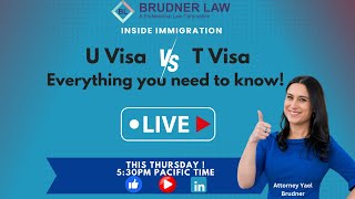 U visa vs T visa!