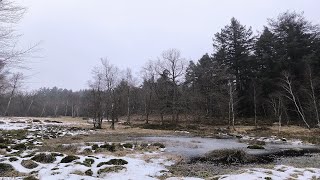 Rotes Wasser bei Olfen/Oberzent