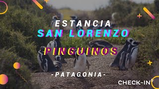 ¡ESTANCIA SAN LORENZO, en CHUBUT! - CHECKIN-TV