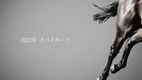 ウマ娘に出演している馬のjra Cm集 Mp3