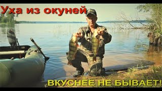 УХА ИЗ ОКУНЕЙ. ВКУСНЕЕ НЕ БЫВАЕТ!