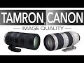 Tamron 70-200 f2.8 G2 IQ (vs Canon 70-200 f2.8 IS II)