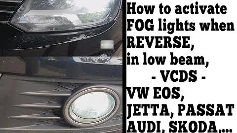How to activate FOG lights when shift into REVERSE' driving with low beam VCDS Vw EOS Jetta