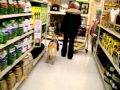 PTSD dog training.mov PTSD dog training.mov