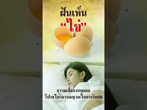 ฝันเห็นไข่ ทำนายฝัน เปิดเลขนำโชค #ฝัน #เลขเด็ด #เลขดัง #ฝันเห็นไข่