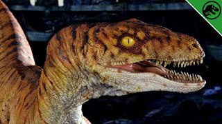 Everything You Need To Know About The Mysterious Fall Of Site B - JURASSIC PARK LORE | Isla Sorna