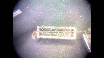 mounting suture into PDMS mold of microfluidic channel