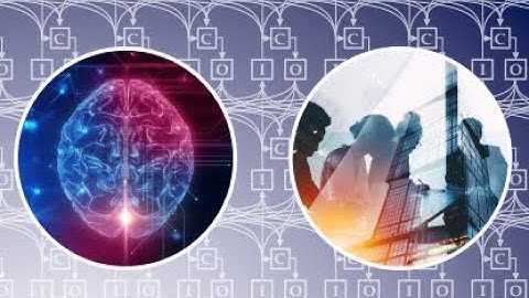 Comparative Robotics as a Paradigm Testing an Interdisciplinary Theory: Perceptual Control Theory