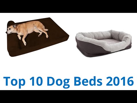 10-best-dog-beds-2016