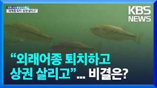 “외래종 퇴치하고 상권 살리고”…속리산 배스 퇴치법 / KBS  2022.06.27.