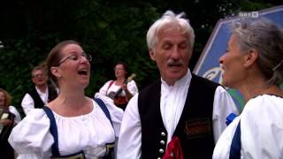 Daleki Su I Prez Kraja Puti - Harmonija