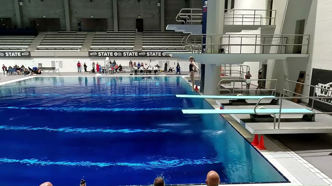 Claire Butler 2024 WIAA 4A Swimming and Diving Championships 11/14/24