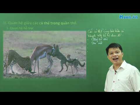 Video: Cạnh tranh cộng sinh là gì?