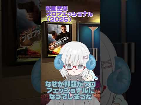 #映画感想　プロフェッショナル（2025）：In the Land of Saints and Sinners　#映画　#リーアムニーソン