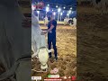 Mandi Ka 1st Truck Utaar Gaya | Jameel Memon Gates Open | Shoqeen Ki Duniya | YH Enterprises
