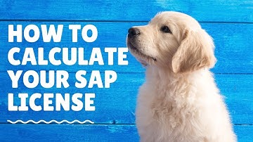 How to calculate my user SAP User License