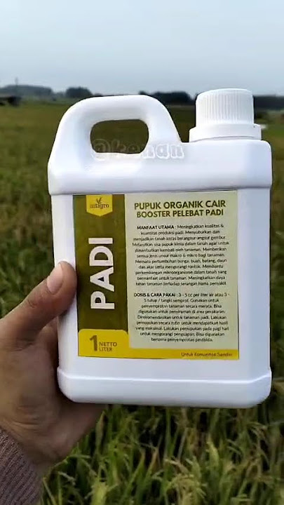 Pupuk organik cair booster pelebat padi #fyp #boosterpadi