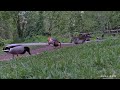 Birdwatching Trip to Ninesprings Park with Girlfriend - Part II