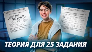 :  .   25  |   | 