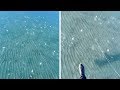 Guy Creates Huge Crack In Frozen Lake