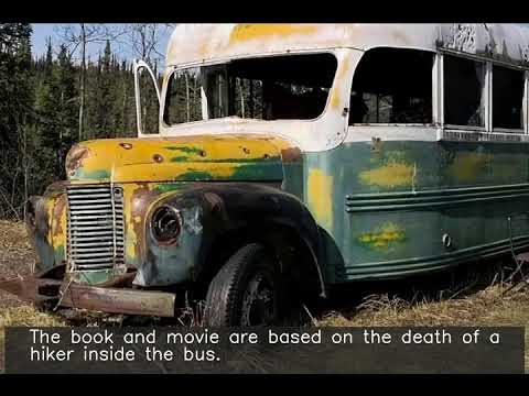 A woman died after trying to reach the famous 'Into the Wild' bus