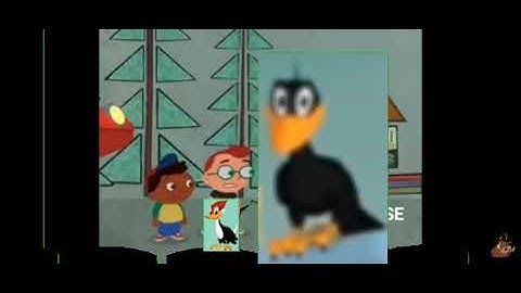 Woodpecker and Crow interrupt 4 Rocket