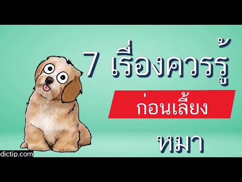 วีดีโอ: ปฏิทินการตั้งครรภ์สำหรับสุนัข