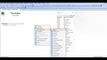 24 Qlikview SUBFIELD REPLACE