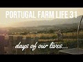 Portugal Farm Life - 31 - Days of our lives