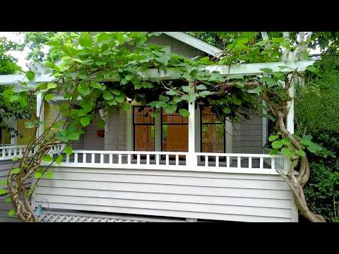 2120 E Pine St, Seattle, WA home video tour