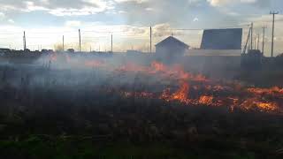 Пожар в Подсолнухах НЕ жгите траву, потушить получилось большим трудом / Подсолнухи LIFE-Видео блог