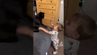 Funny cats with kids #humor #cats