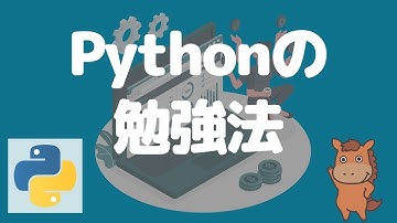【9分で分かる】Pythonの勉強法と勉強領域について解説！
